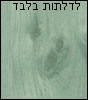 ירוק-מעוצב